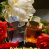 String Strong Silver For Men 3.4 Ounce / 100 ml Eau De Toilette Vaporisateur Natural Spray