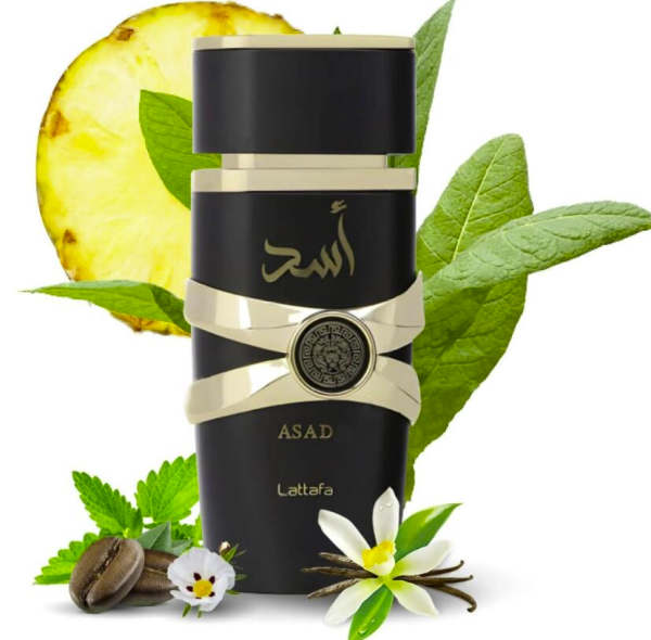 Asad For Men 3.4 Ounce / 100 ml Eau De Parfume Spray