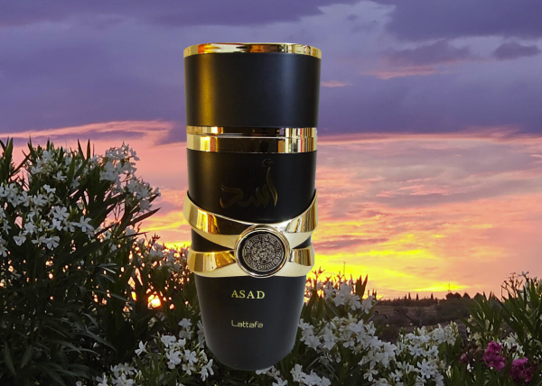 Asad For Men 3.4 Ounce / 100 ml Eau De Parfume Spray